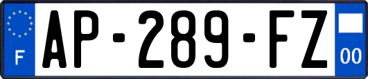 AP-289-FZ