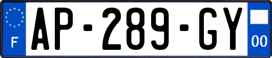AP-289-GY