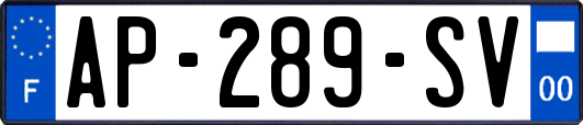 AP-289-SV