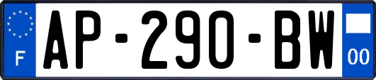 AP-290-BW