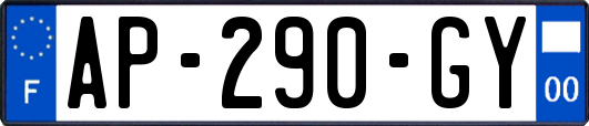 AP-290-GY