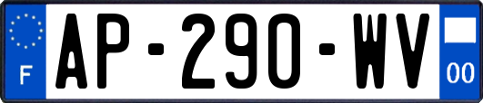 AP-290-WV
