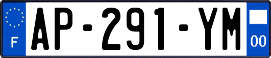 AP-291-YM