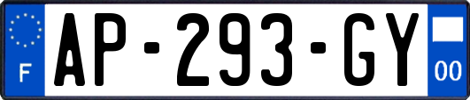 AP-293-GY