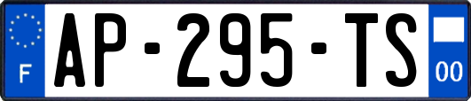AP-295-TS