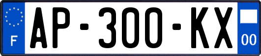 AP-300-KX