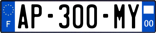 AP-300-MY