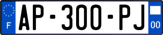 AP-300-PJ