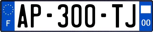AP-300-TJ