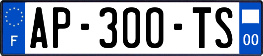 AP-300-TS