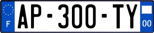 AP-300-TY