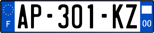 AP-301-KZ