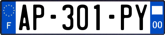 AP-301-PY