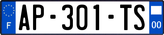 AP-301-TS