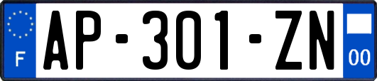 AP-301-ZN