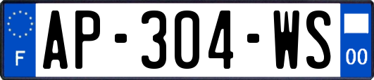 AP-304-WS