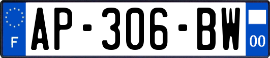 AP-306-BW