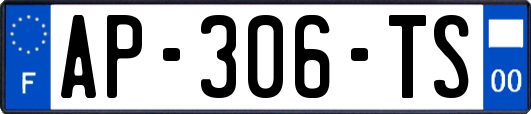 AP-306-TS