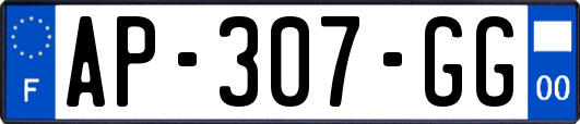AP-307-GG