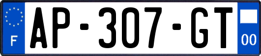 AP-307-GT
