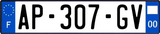 AP-307-GV