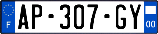 AP-307-GY