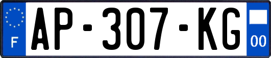 AP-307-KG