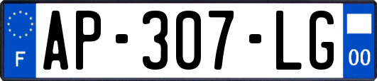 AP-307-LG