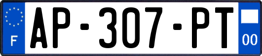 AP-307-PT
