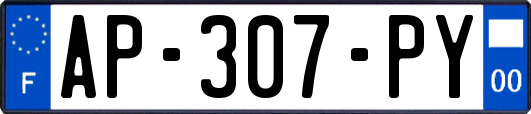 AP-307-PY