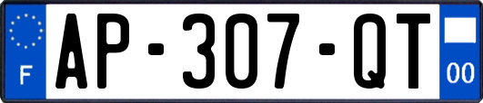 AP-307-QT
