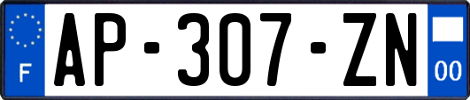 AP-307-ZN