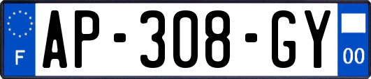 AP-308-GY