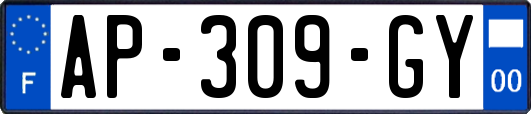 AP-309-GY