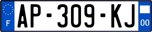 AP-309-KJ