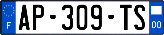 AP-309-TS