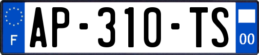 AP-310-TS