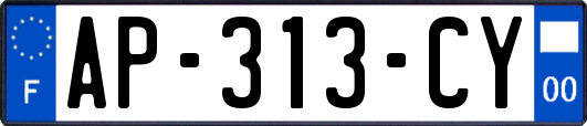 AP-313-CY