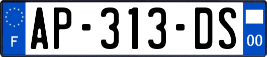 AP-313-DS