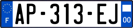 AP-313-EJ