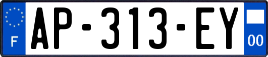 AP-313-EY