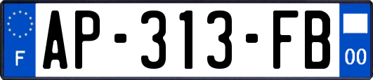 AP-313-FB