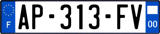 AP-313-FV