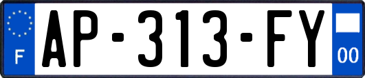 AP-313-FY