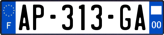 AP-313-GA