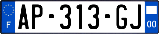 AP-313-GJ