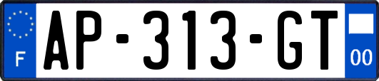 AP-313-GT