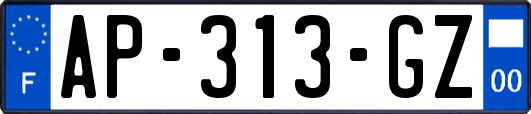 AP-313-GZ