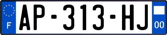 AP-313-HJ