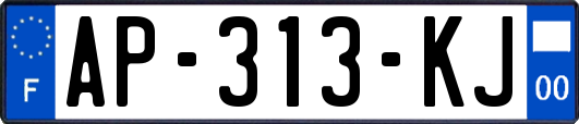 AP-313-KJ